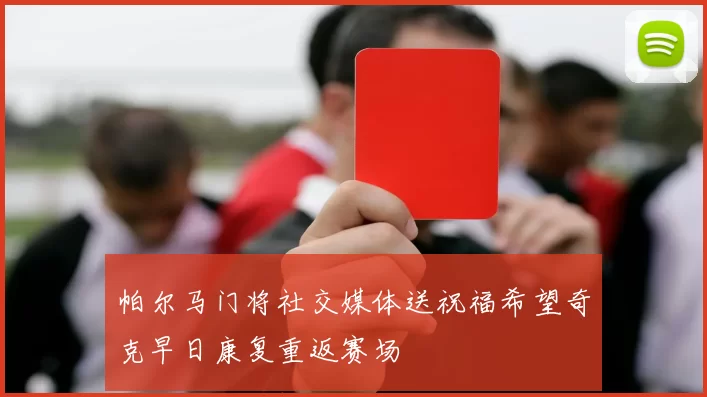 帕尔马门将社交媒体送祝福希望奇克早日康复重返赛场