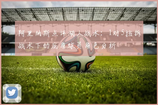 阿里纳斯点评湖人战术：1对5挡拆战术下的底角球员角色分析