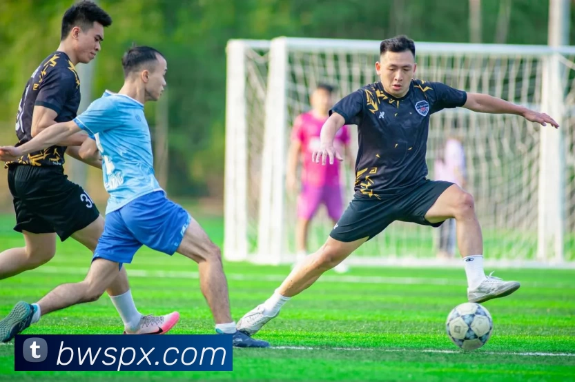 App Interface Preview