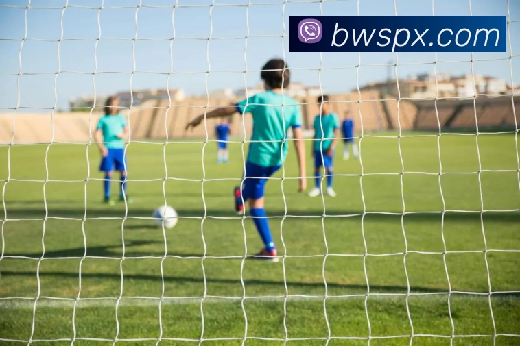 必威体育APP 封面图